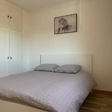 Apartment Superbe T3 Spacieux, Lumineux Et Sans Vis-a-vis
